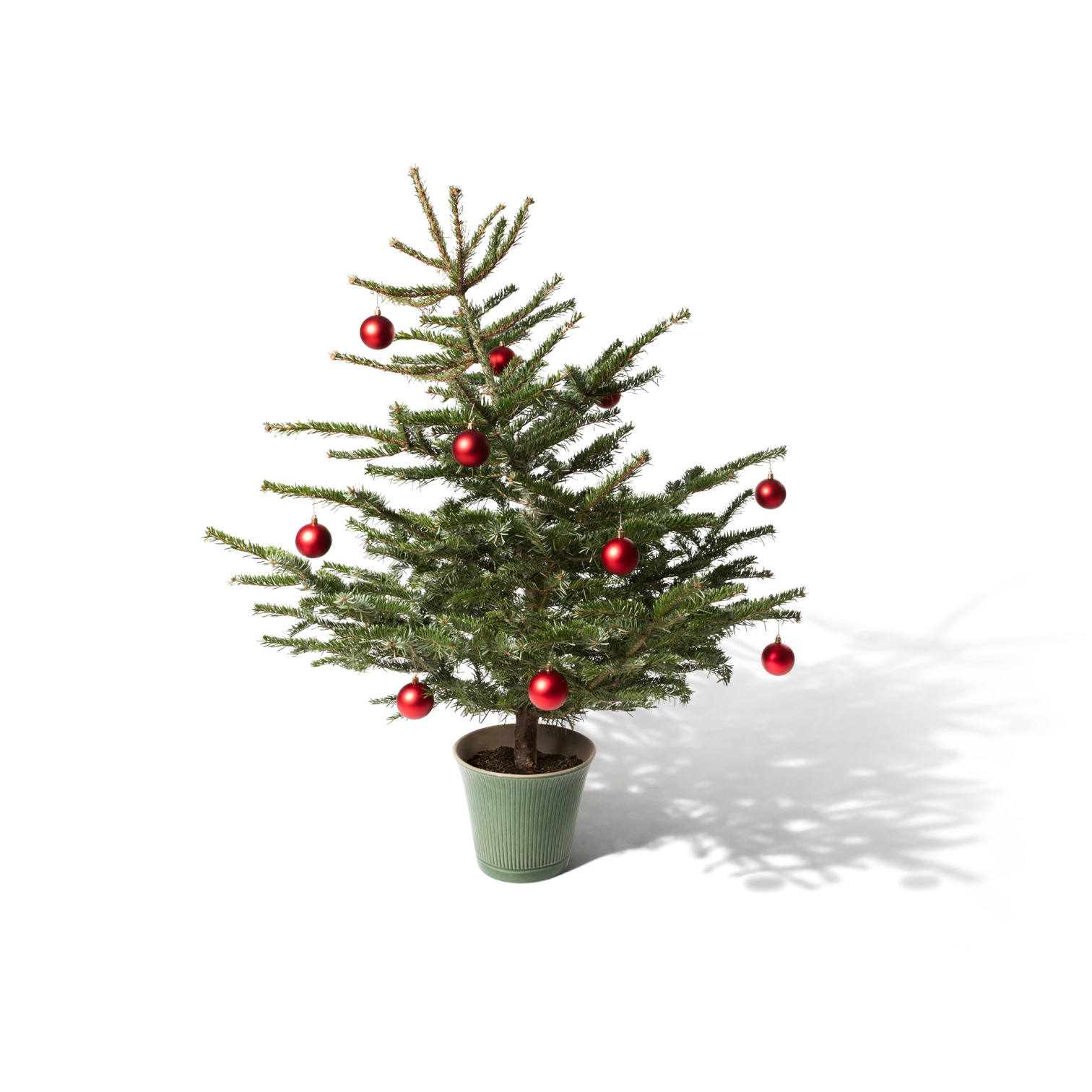 Ein Weihnachtsbaum mit roten Kugeln.