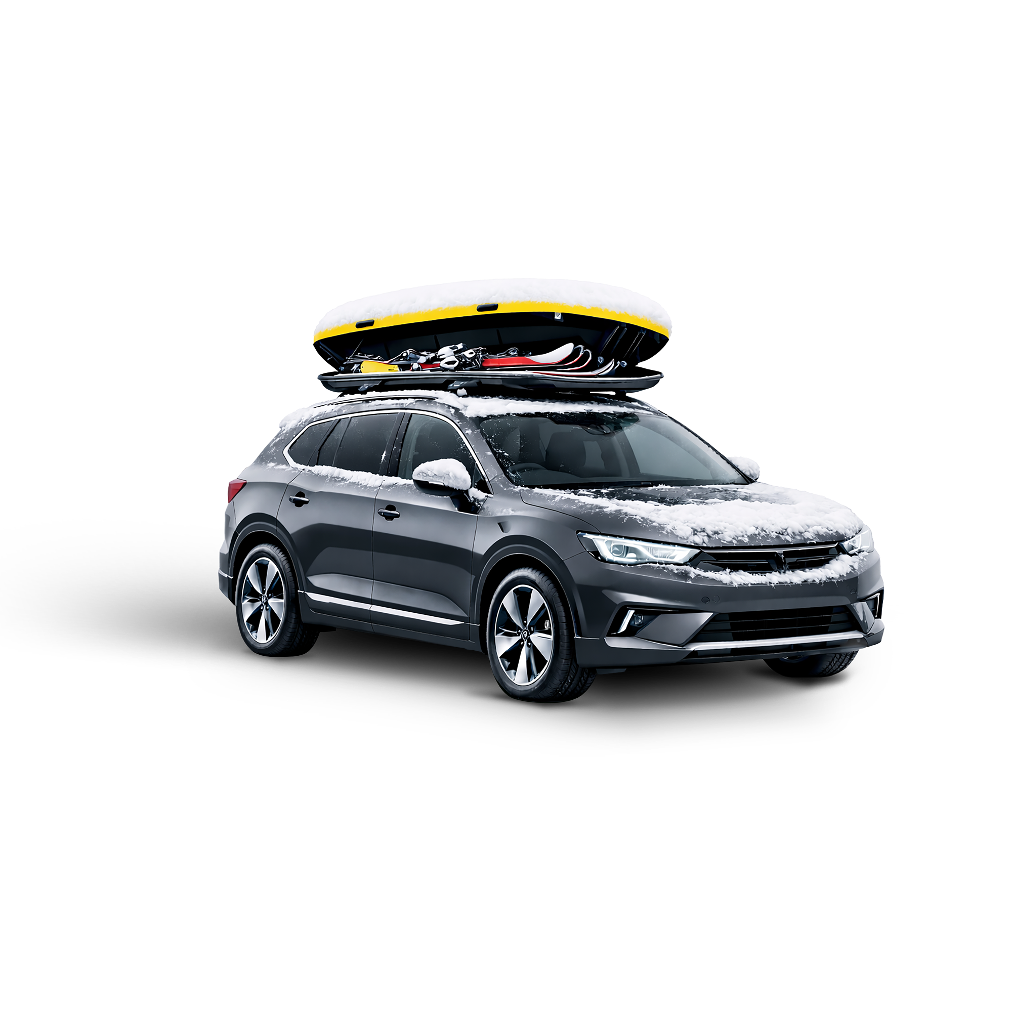 Auto mit Skibox am Dach