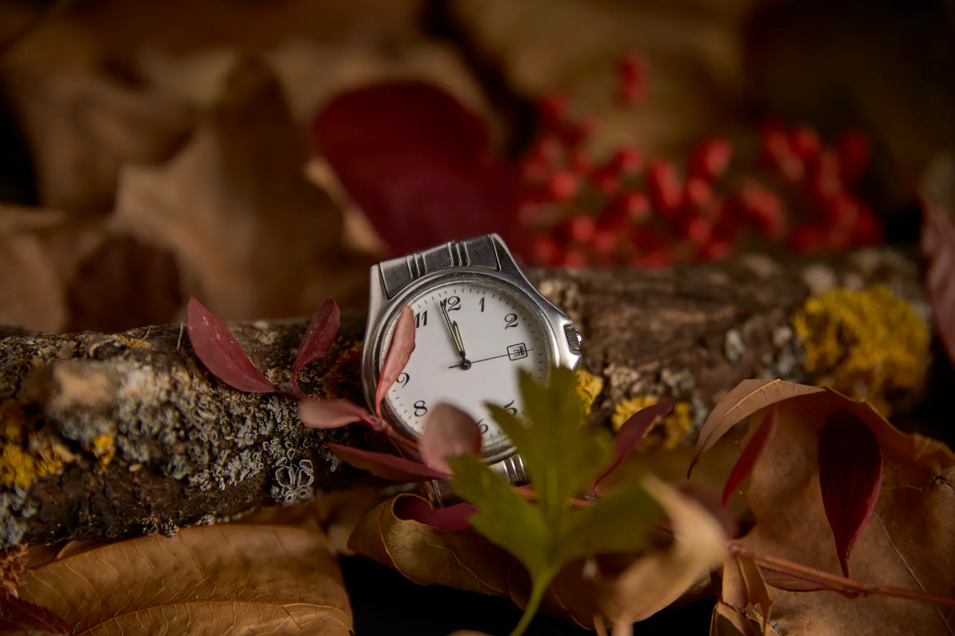 Eine Armbanduhr liegt inmitten einer herbstlichen Kulisse aus Blättern und Zweigen.