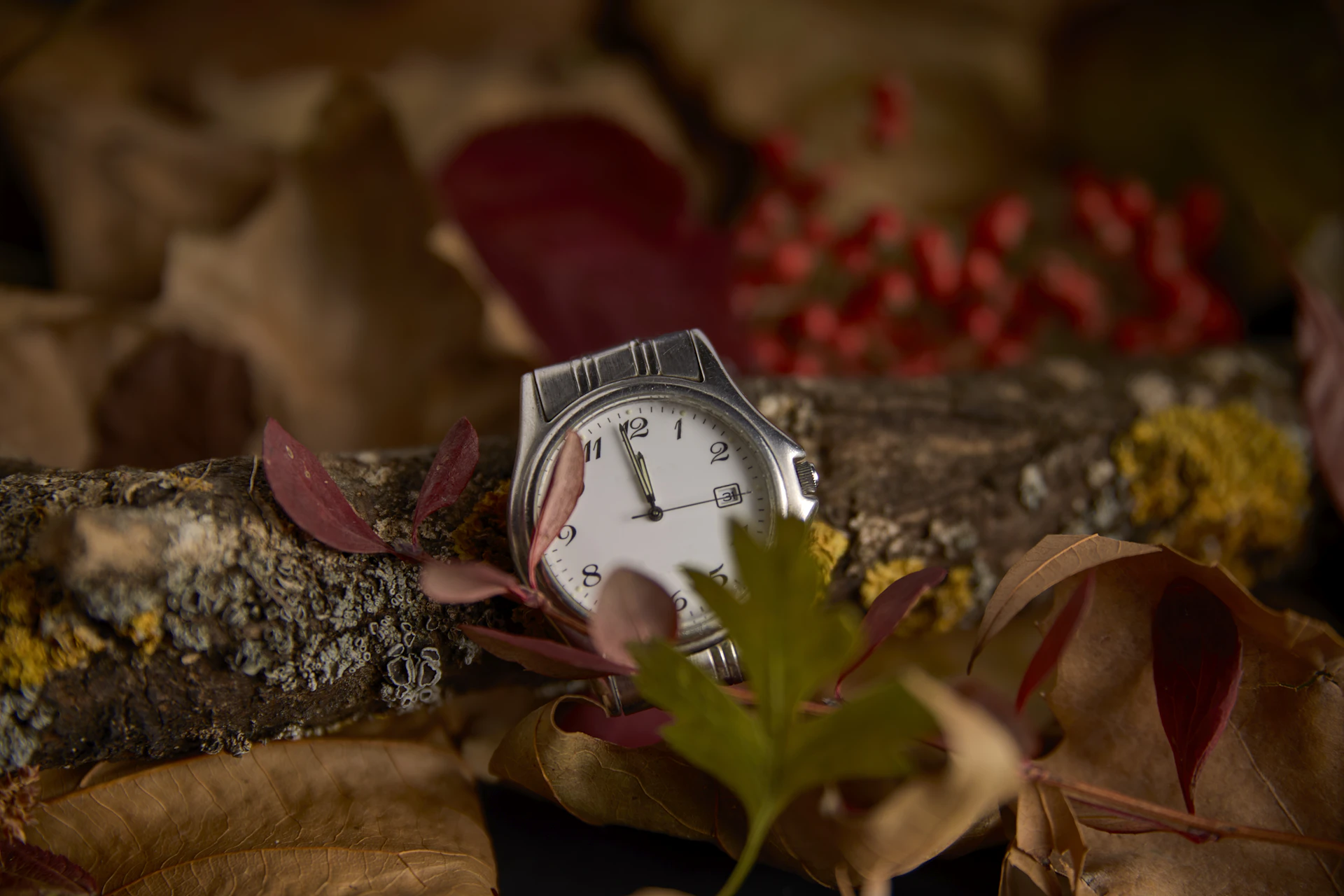 Eine Armbanduhr liegt inmitten einer herbstlichen Kulisse aus Blättern und Zweigen.