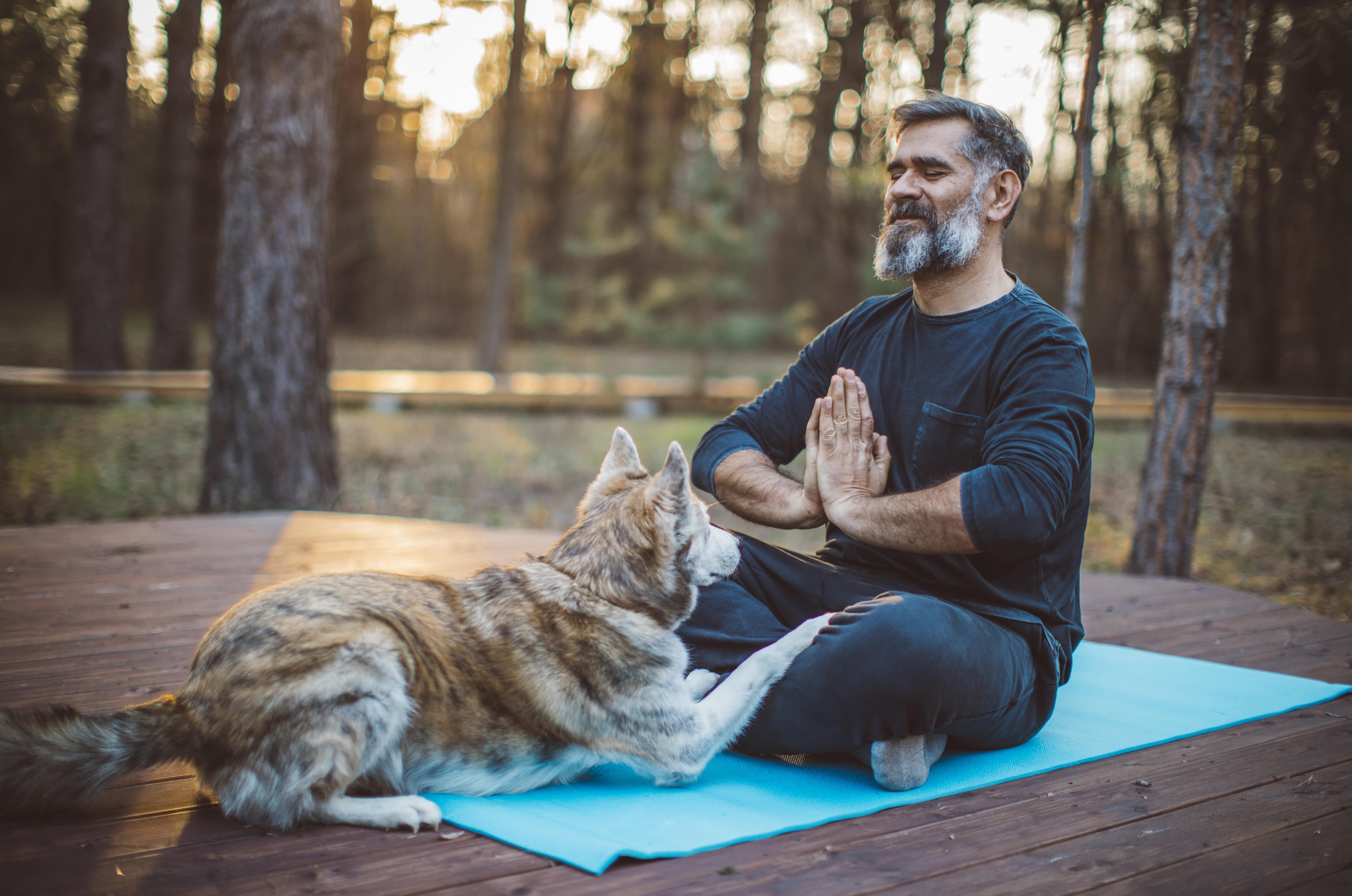 Ein Mann sitzt entspannt mit seinem Hund auf einer Yogamatte und meditiert.