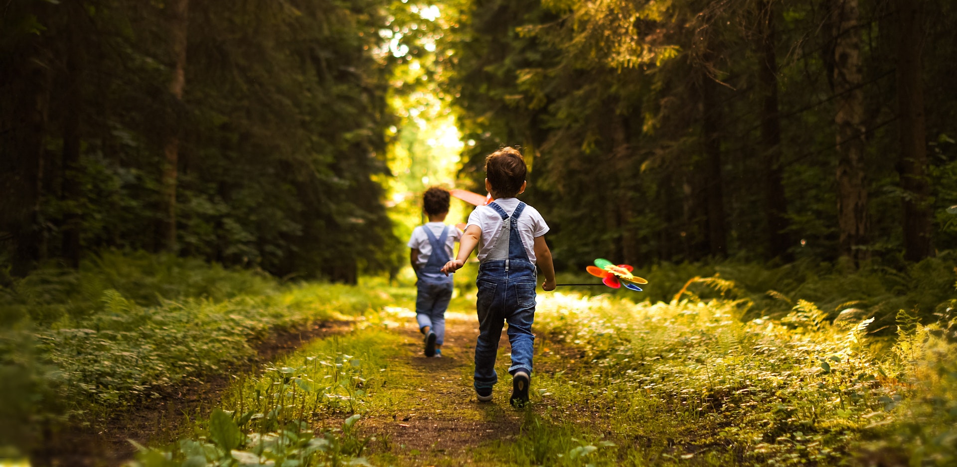 Kleinkinder rennen spielend durch den Wald.