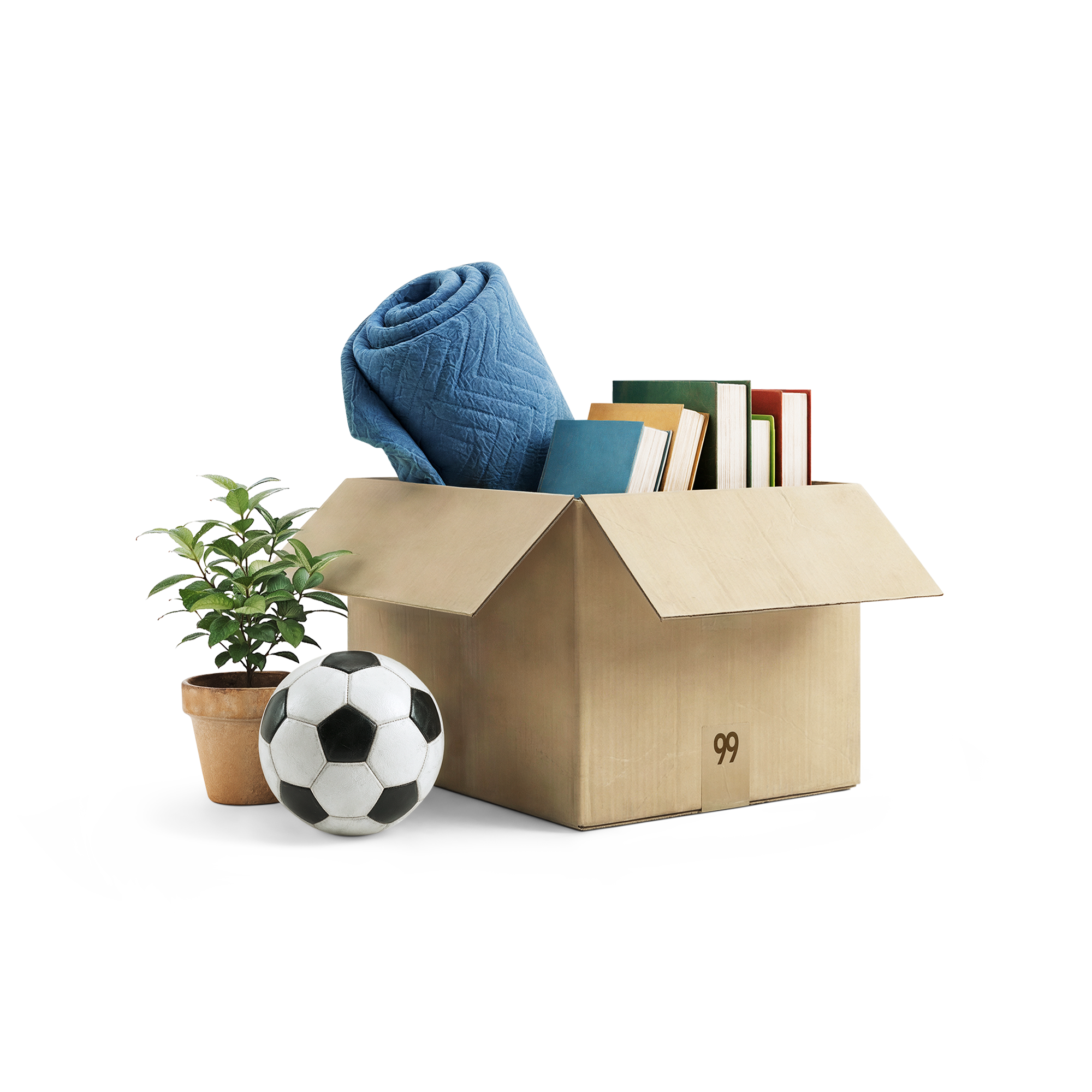 Geöffneter Umzugskarton mit eingerollter Decke, mehreren Büchern sowie daneben einer Topfpflanze und einem Fußball.
